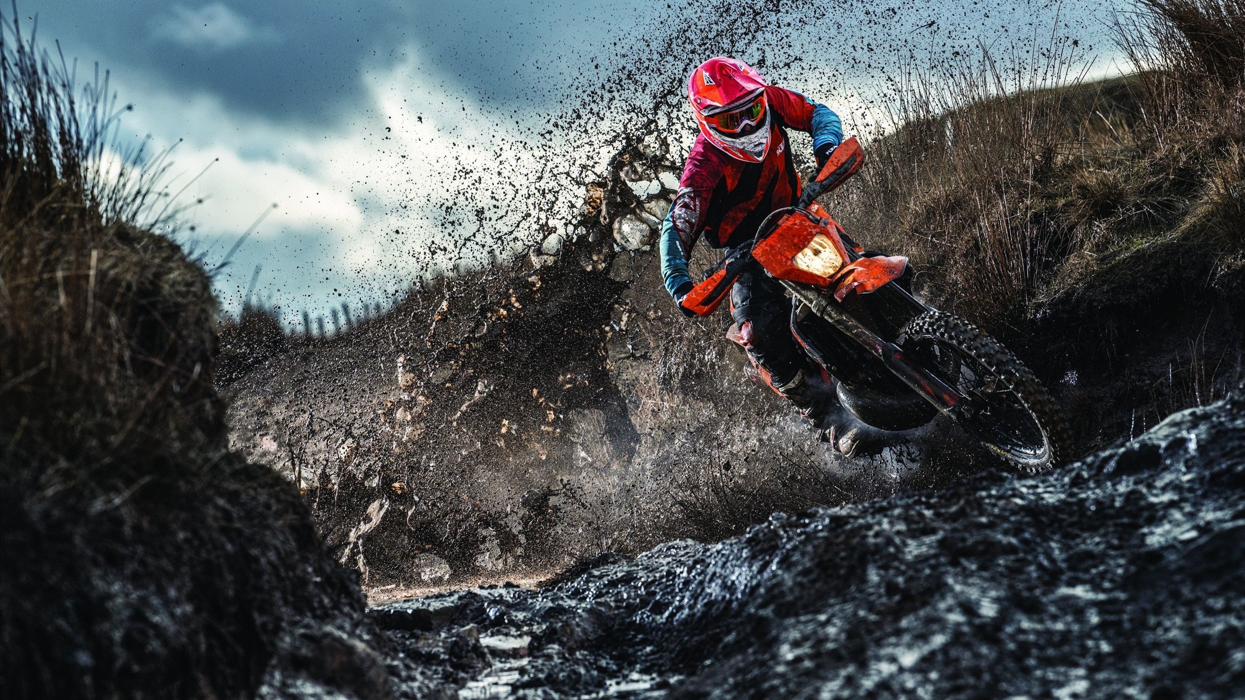 国际泳联重拳出击,多名顶尖选手因禁赛风波无缘世锦赛